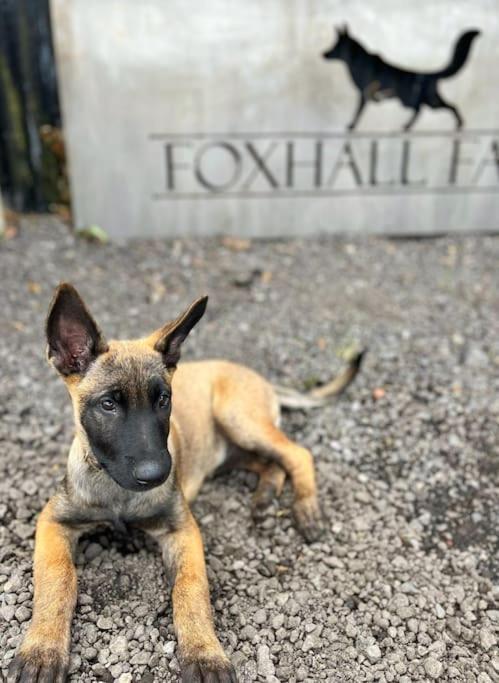 Foxhall Farm Thirsk Εξωτερικό φωτογραφία