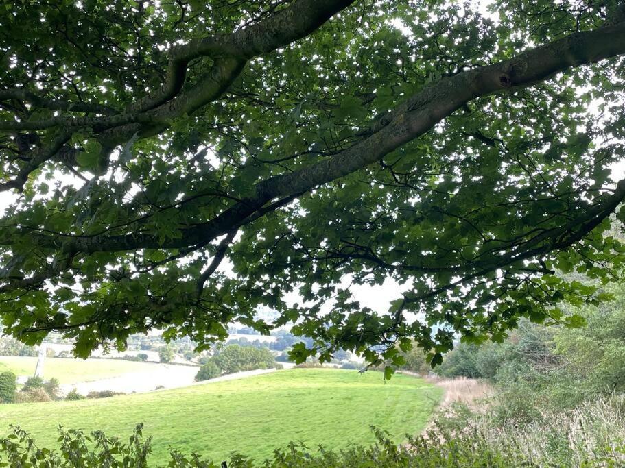 Foxhall Farm Thirsk Εξωτερικό φωτογραφία