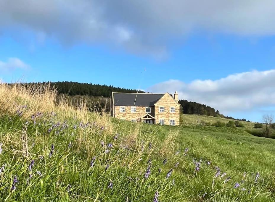 Foxhall Farm Thirsk Εξωτερικό φωτογραφία